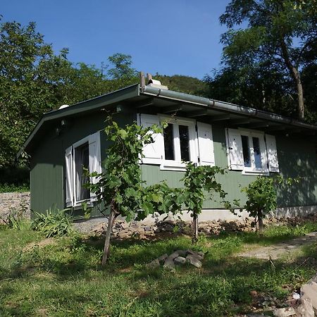 Badacsony Vendeghaz Villa Badacsonytördemic Cameră foto
