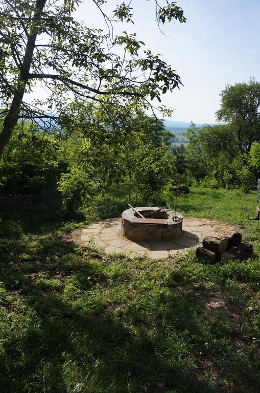 Badacsony Vendeghaz Villa Badacsonytördemic Cameră foto